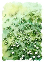 Grüne Wiesenblumen