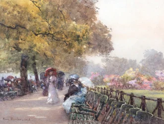 Azaleen in Blüte - The Row