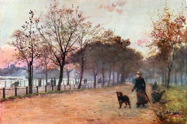 Am Ring, Hyde Park: Abend