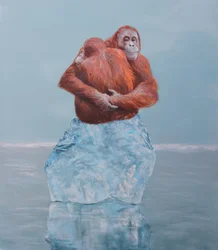 Orang-Utan Eis-Umarmung
