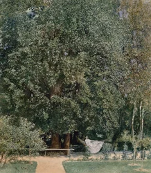 Aus dem Kurpark in Tepliz