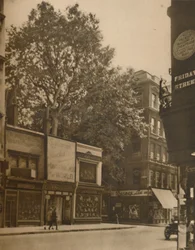 Ein bevorzugter Bewohner der Stadt: Die Platane in Cheapside, ca. 1935