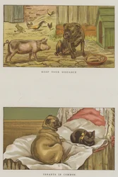 Humorvolle Hunde