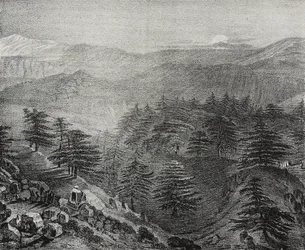 Ansicht des Libanongebirges mit seinen berühmten Zedern, Libanon, Lithographie von Salvatore Puglia aus Poliorama Pittoresco, Nr. 10, 15. Oktober