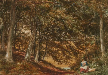Picknick im Wald
