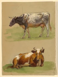 Zeichnung, Rinder, eine gehende und eine kauernde Kuh, 1875–80