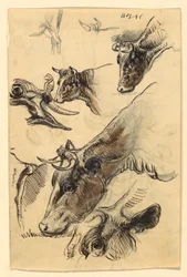 Zeichnung, Skizzen. Vieh, Irvington, September 1876