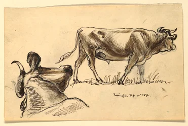 Zeichnung, Skizzen. Rinder, Irvington, September 1876