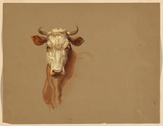 Zeichnung, Zwei Studien. Vieh, 1876