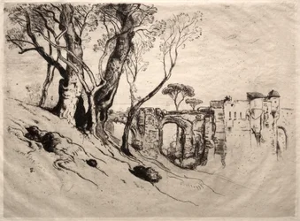 Die Olivenbäume der Riviera, 1884