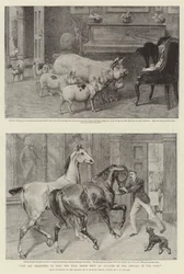 Bitte halten Sie die Hallentüren wegen der Tiere im Park geschlossen