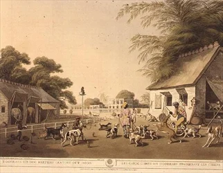 Dooreahs oder Hundewärter führen Hunde aus, aus Oriental Field Sports von Samuel Howett, verlegt von Edward Orme