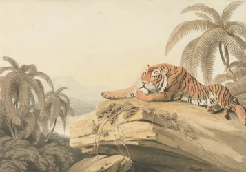 Ein ruhender Tiger: das Frontispiz zu „Oriental Field Sports“