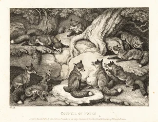 Ein Rudel Füchse trifft sich im Wald. 1811 (Radierung)