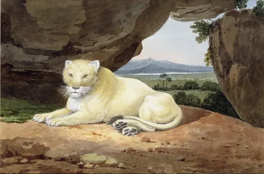 Löwin