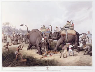 Der tote Tiger; Mort du tigre, 1807