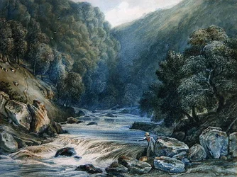 Auf dem Dart