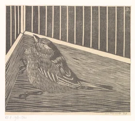 Vogel in der Ecke eines Käfigs