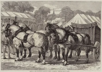 Treffen der Lincolnshire Agricultural Society in Sleaford, Erstplatzierte Pferdeteam