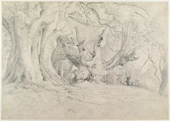 Alte Bäume, Lullingstone Park, 1828