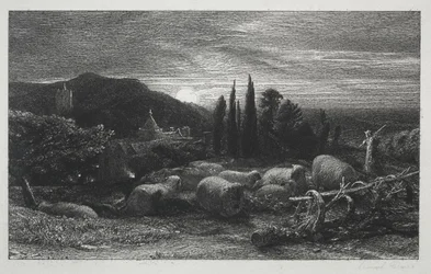 Der aufgehende Mond
