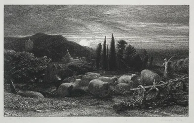 Der aufgehende Mond