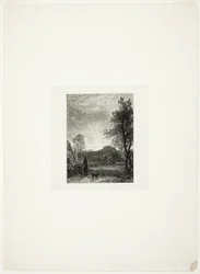 Die Feldlerche