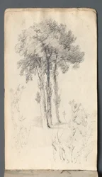 Skizzenbuch: Baumstudie