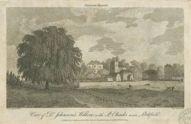Lichfield - Dr. Johnsons Weidenbaum