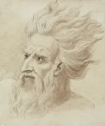Kopf eines Mannes mit Bart und langen Haaren im Wind