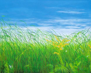 Tanz im Wind, 2019