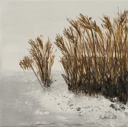 Winter am Meer, 2023