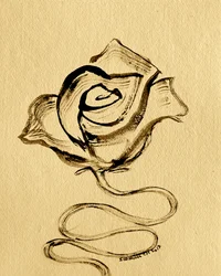 Elegante fließende Rose