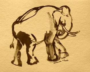 Eleganter Tuscheelefant