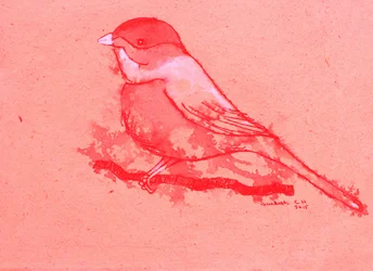 Roter Vogel auf Ast