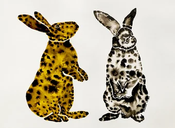 Geflecktes Kaninchenpaar