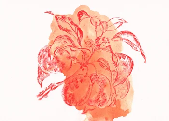 Aquarell eines Pfirsichzweigs