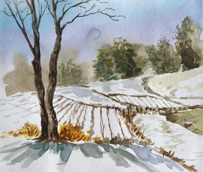 Winterfeldlandschaft