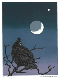 Nocturne, 2019