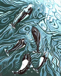 Wake Riders, 2016