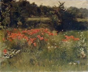 Mohnblumen, Reigate