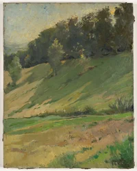 Blick von Llandrindod Wells: The Upper Link, um 1900