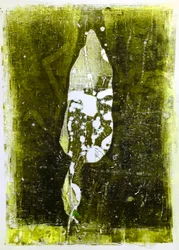 Abstraktes Blatt