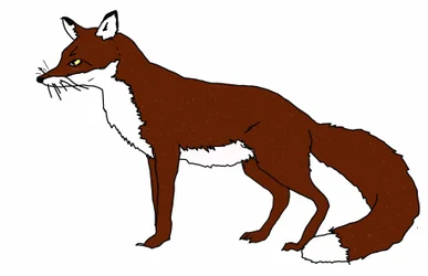 Fuchs, 2018