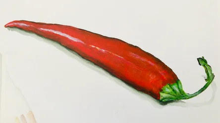 Rote Chilischote