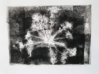 Samenkopf II