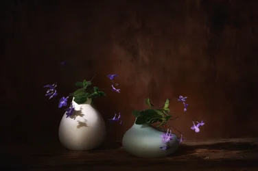 Schwebende violette Blüten