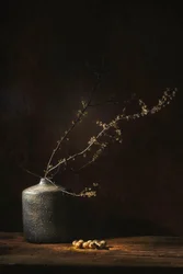 Stimmungsvolles botanisches Stillleben
