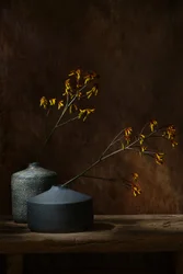 Stimmungsvolle botanische Vasen
