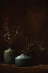 Stimmungsvolle botanische Vasen